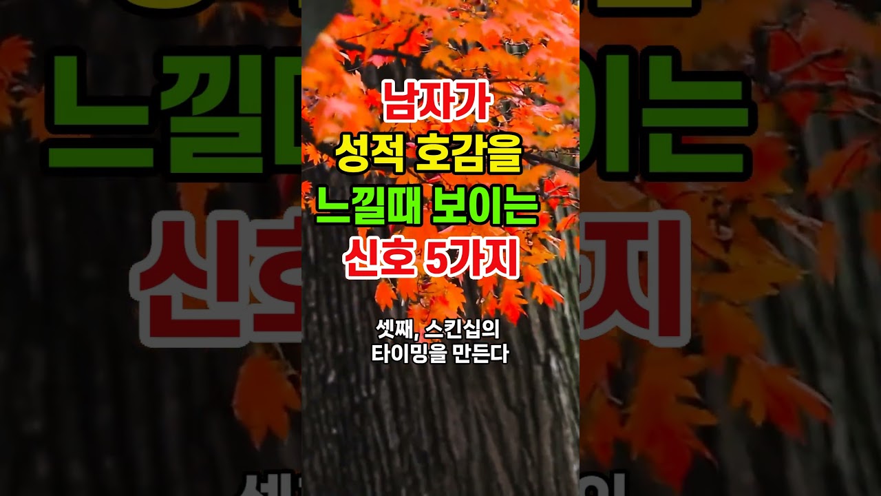 남자가 성적 호감을 느낄때 보이는 신호 5가지#남자행동 #눈빛심리 #스킨십 #사랑의신호 #연애팁#감정분석 #남자호감 #연애솔루션 #심리묘사 #관계심리