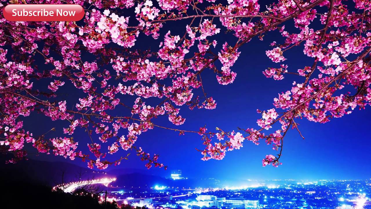 Guitar Music - Focus, Concentration, Study Music With Ocean Waves Relaxing & Calming Music