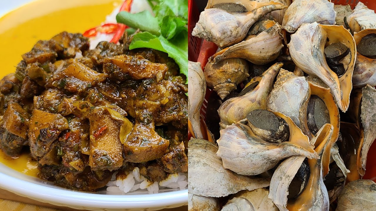Curried Conch (sea) with Cleaning shown  - Episode 1096