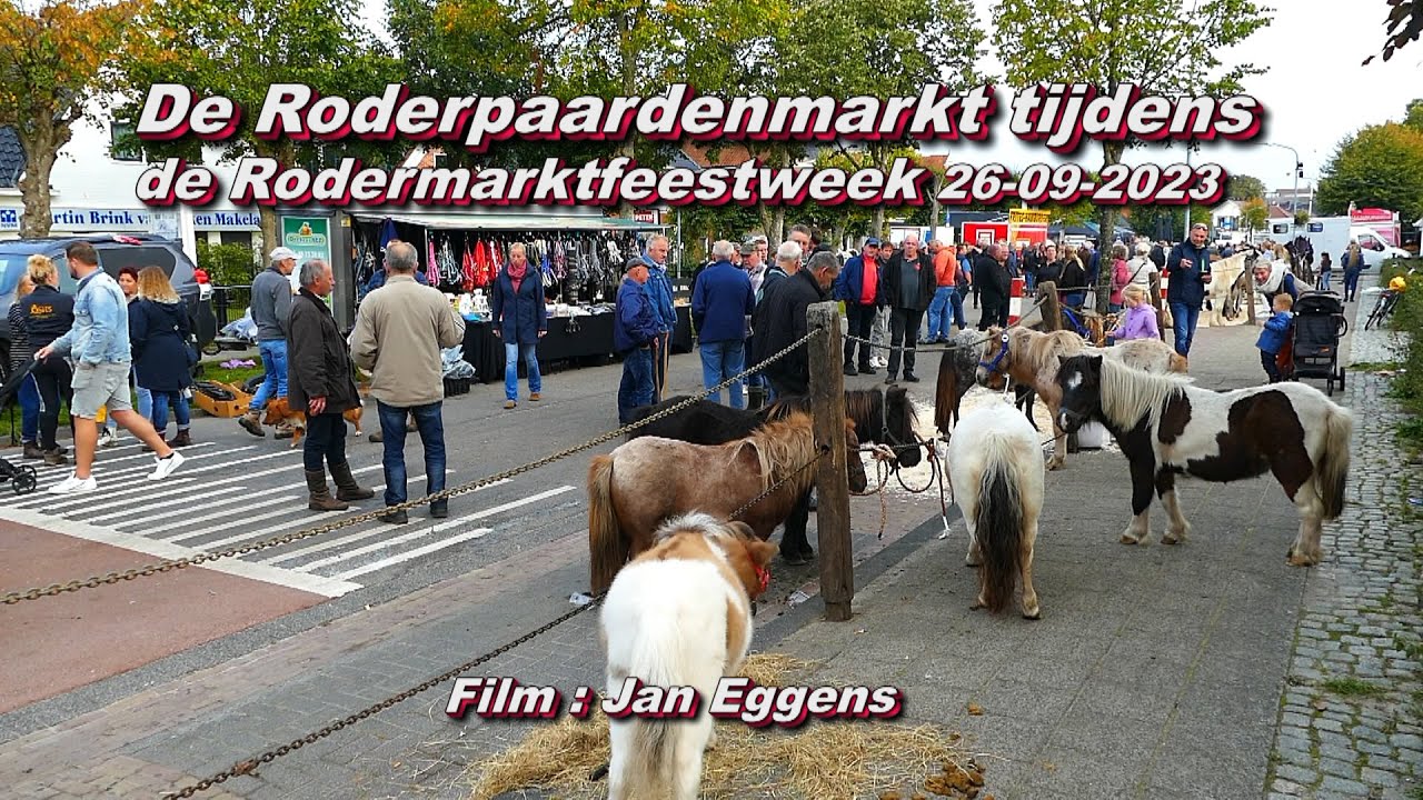 De Roderpaardenmarkt tijdens de Rodermark feestweek 26 09 2023
