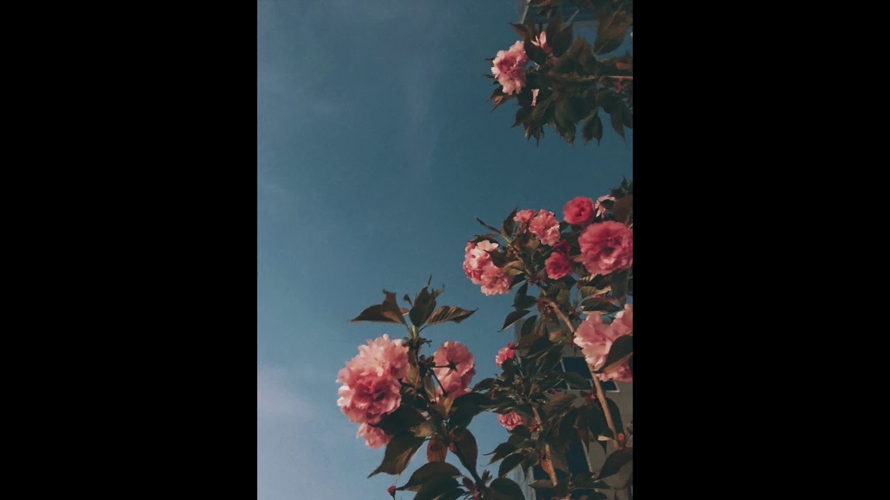[FREE] Drake Passionfruit Type Beat 