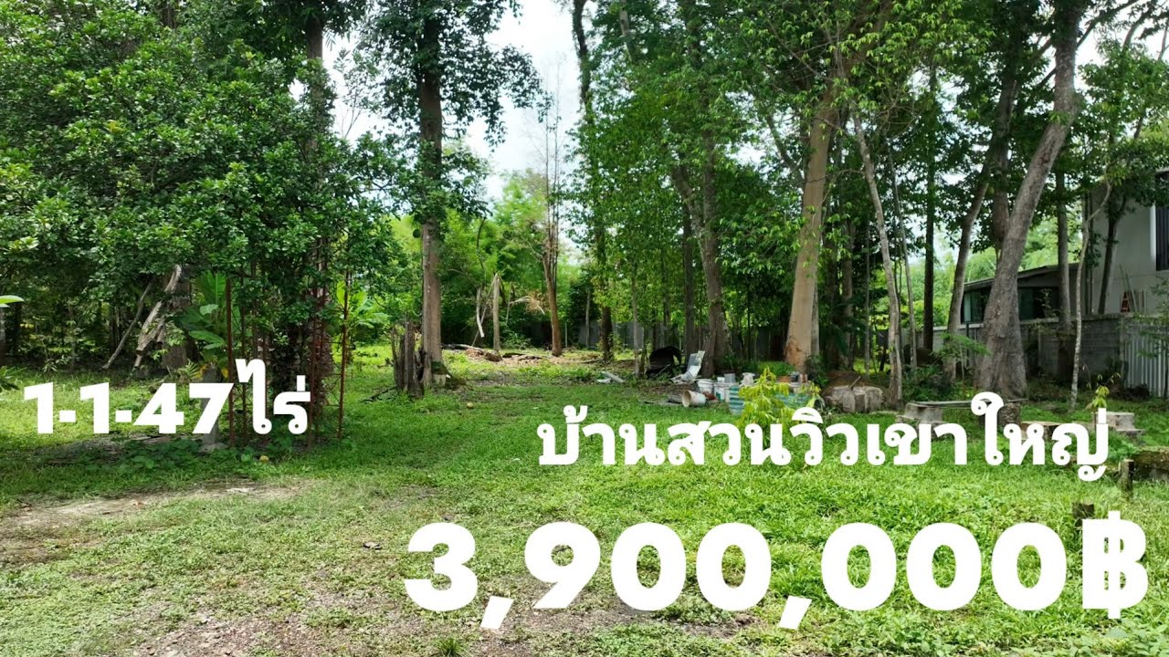 Ep:205 บ้านสวนรีสอร์ทใกล้เขาใหญ่ 1-1-47ไร่ 3.9ลบ.นาหินลาด นครนายก