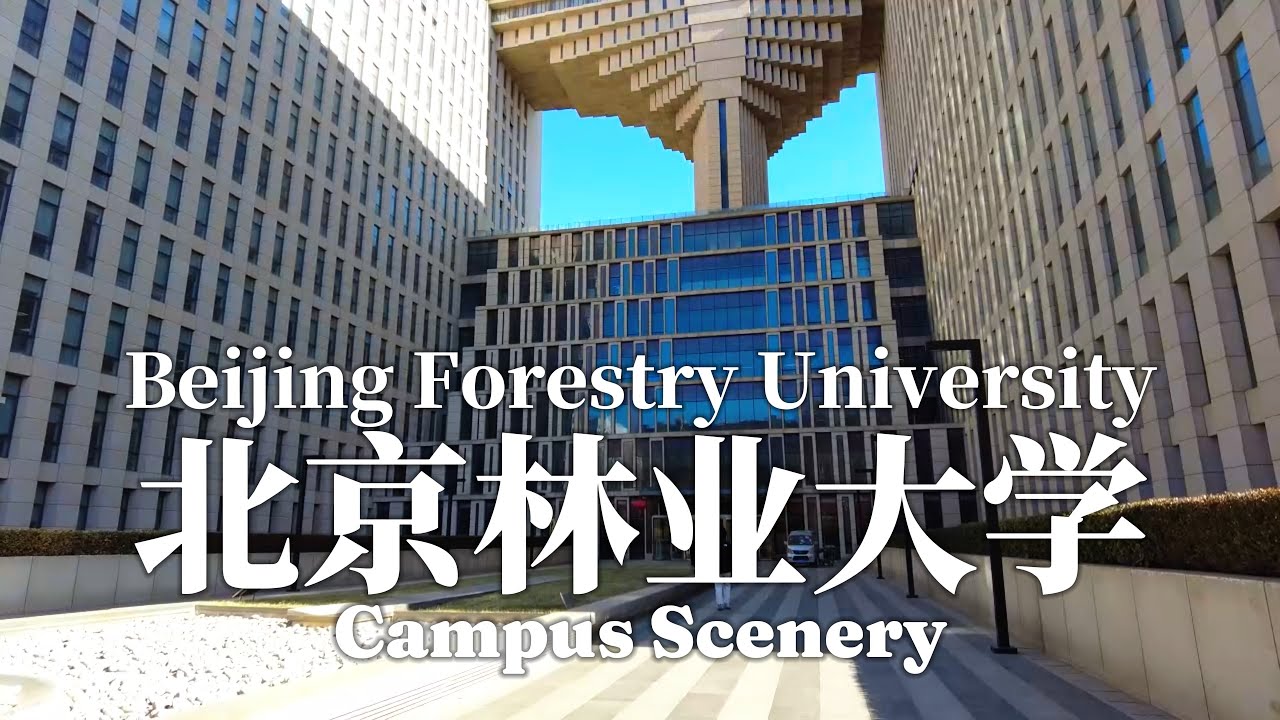BEIJING FORESTRY UNIVERSITY 北京林业大学-Campus Scenery