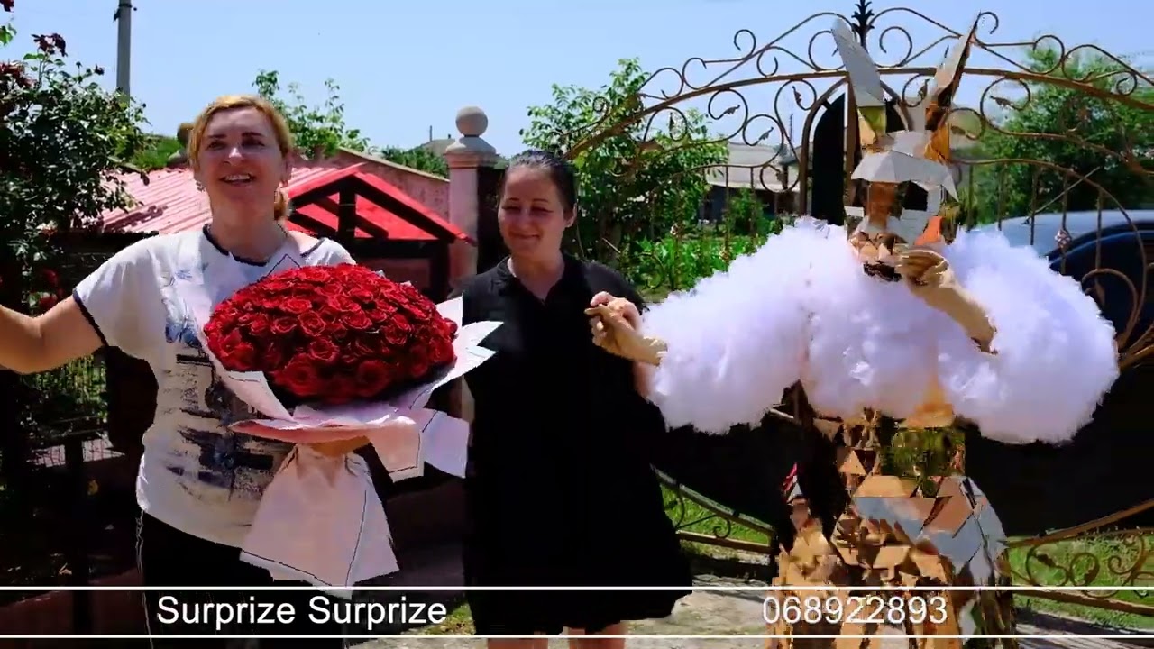 11.06.2024-Heciul Nou-Surprize Surprize