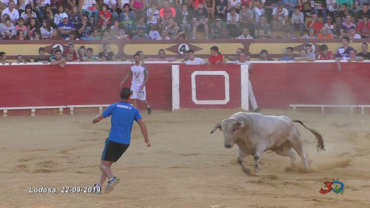 Lodosa, Toro con soga 2019,Toro Domingo Tarde 22/09/19