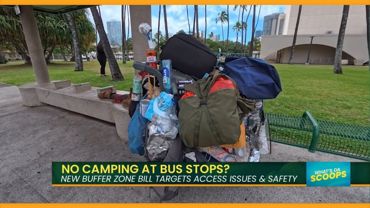 Do We Need A Bus Stop Buffer Zone?