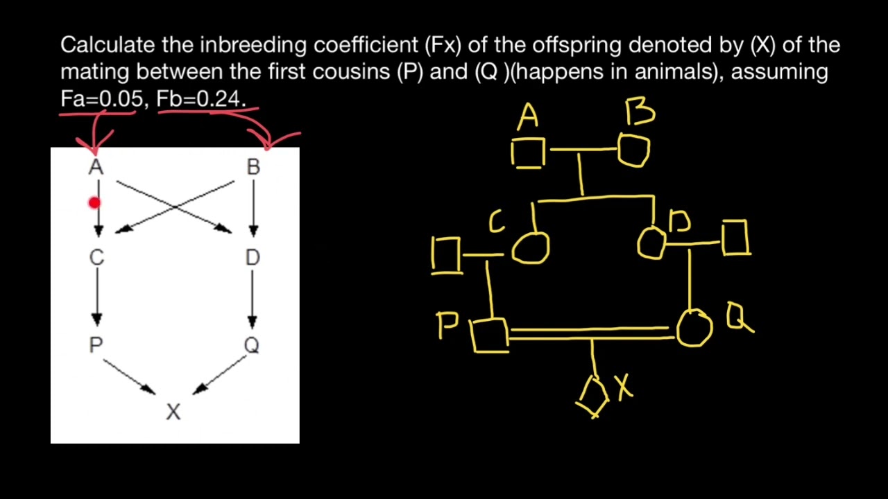 How to Calculate Inbreeding from Pedigrees
