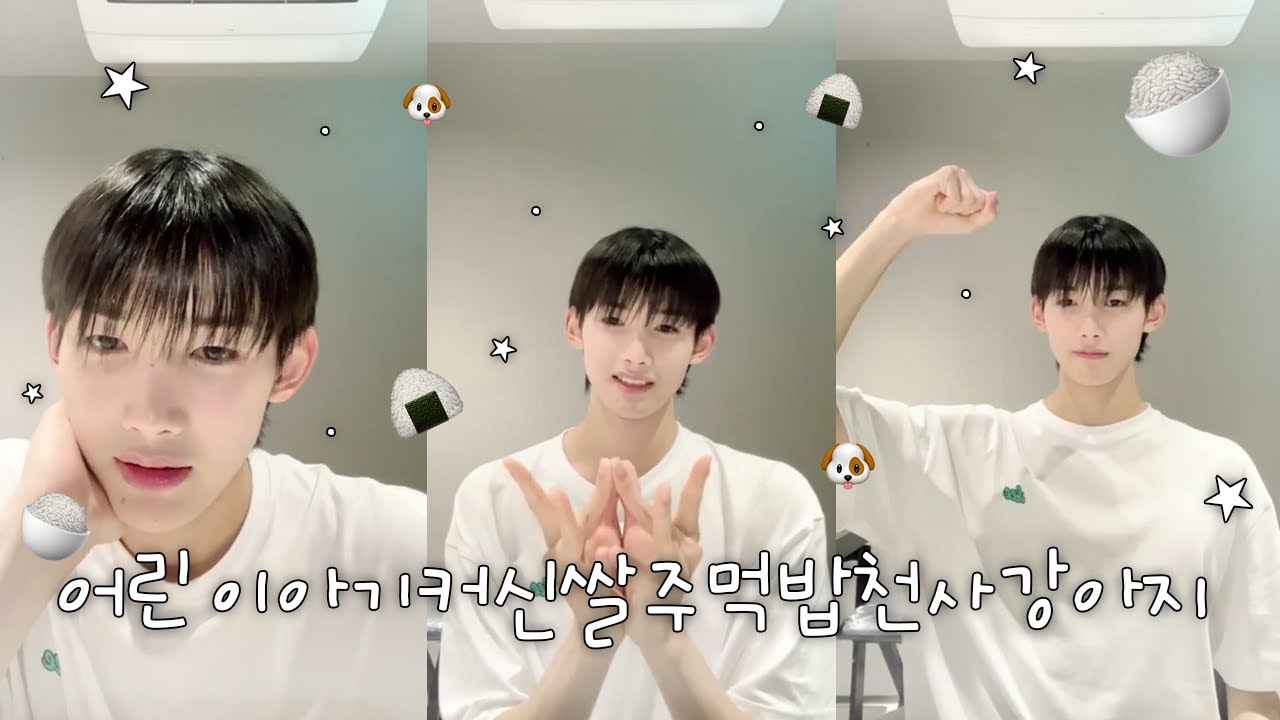 [&TEAM] 어린이아기커신쌀주먹밥천사강아지