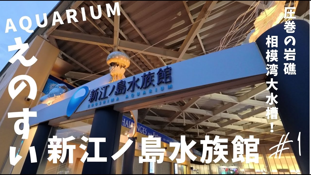 【4K・AQUARIUM】新江ノ島水族館　えのすい【Part1】