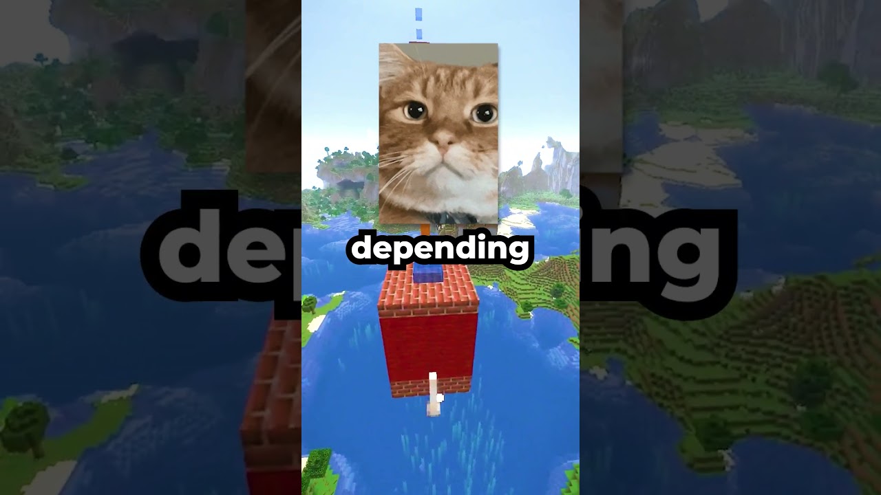Rich Guy Jeff's Items 😼