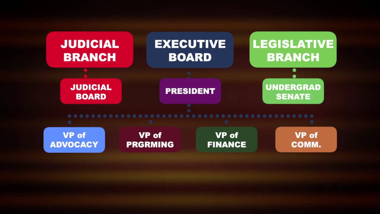 Student Government Proposes Structural Reform