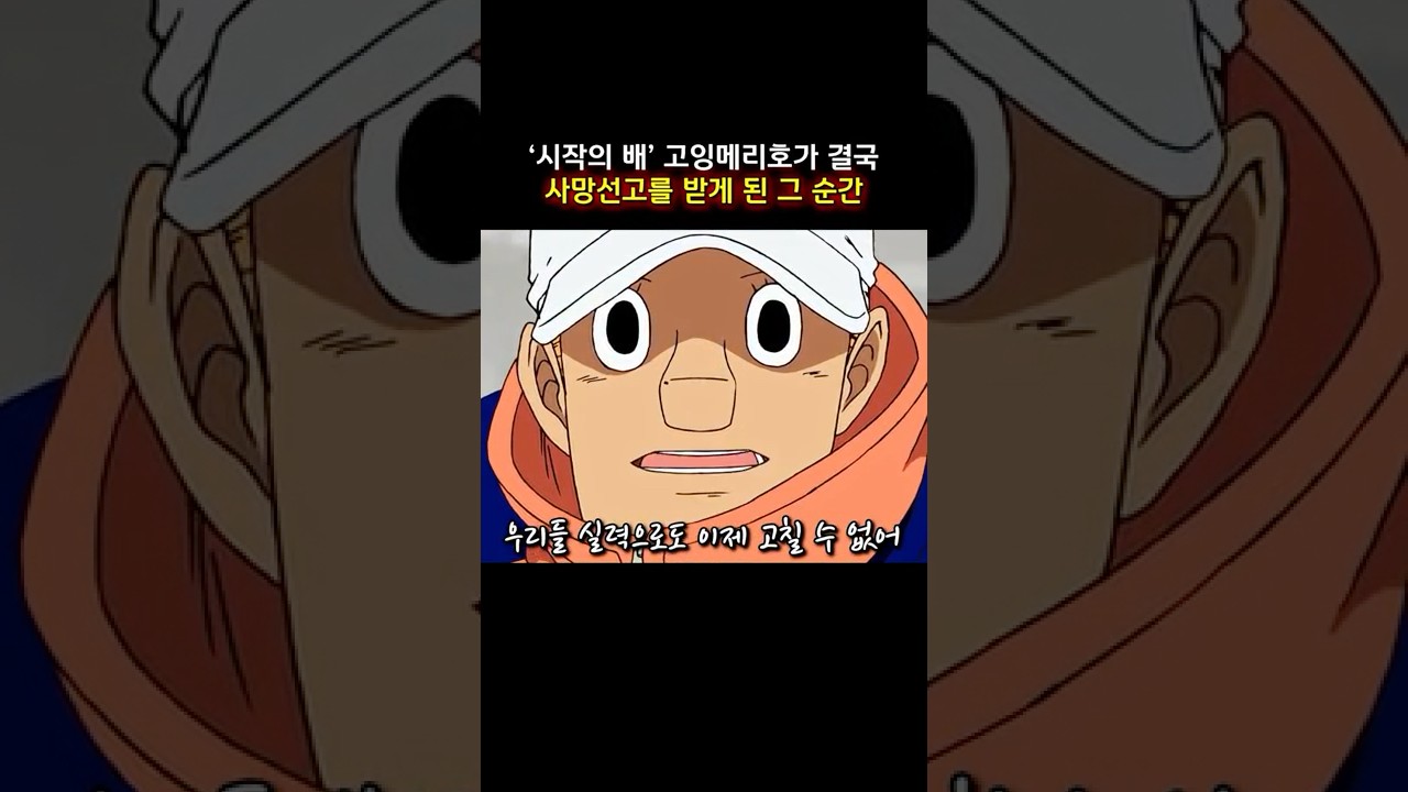 '시작의 배' 고잉메리호가 결국 사망선고를 받게 된 그 순간  #onepiece  #원피스