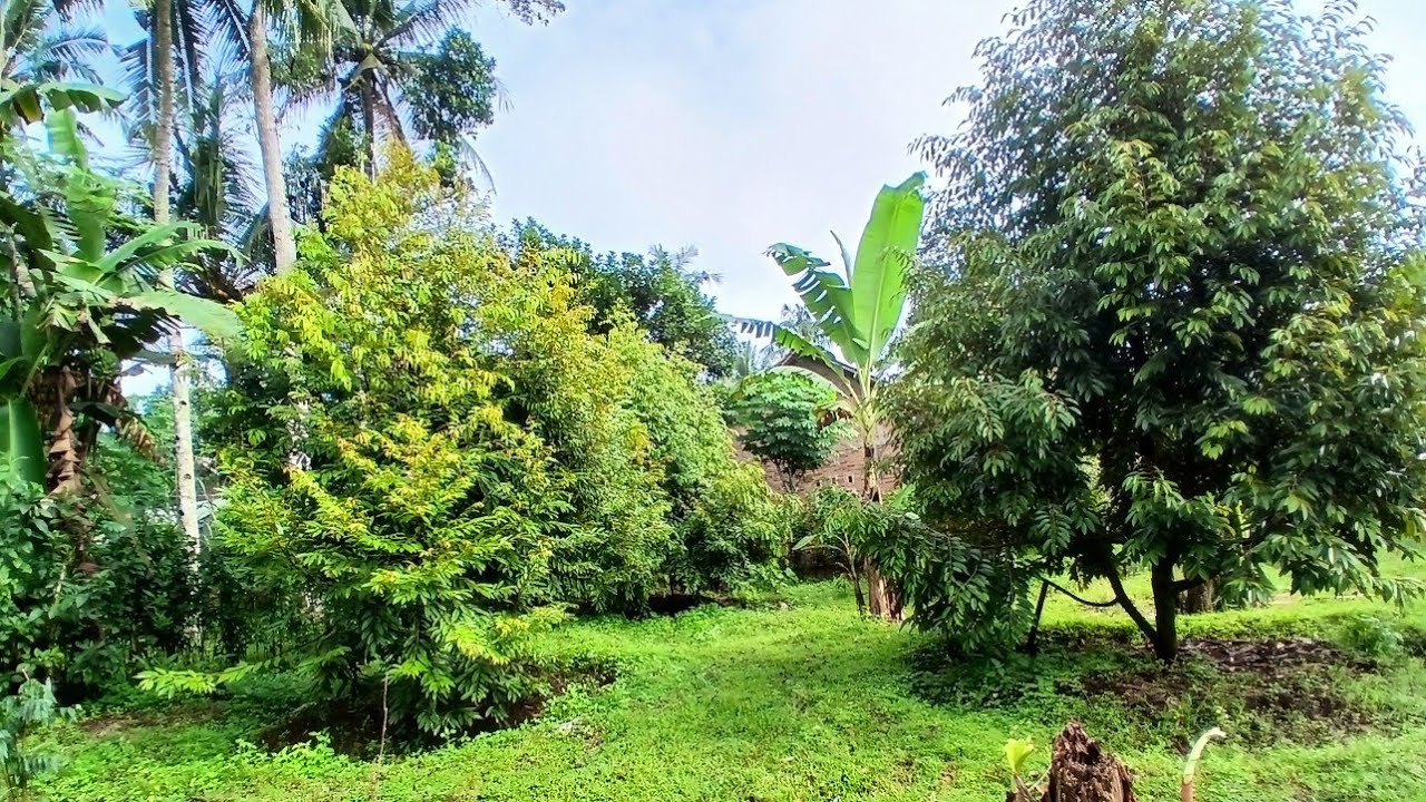 PRAVANZO ASRI NGANJUK JTM MELAPORKAN  081328018166