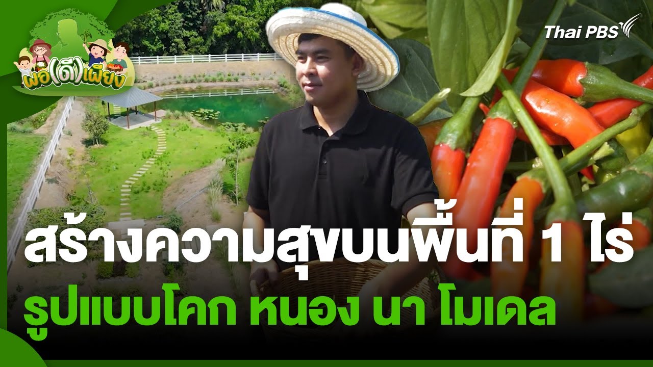 สร้างความสุขบนพื้นที่ 1 ไร่ รูปแบบโคก หนอง นา โมเดล | พอดีพอเพียง | วันใหม่วาไรตี้