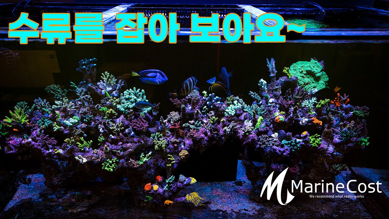 마린코스트와 함께 수류를 잡아 보아요~