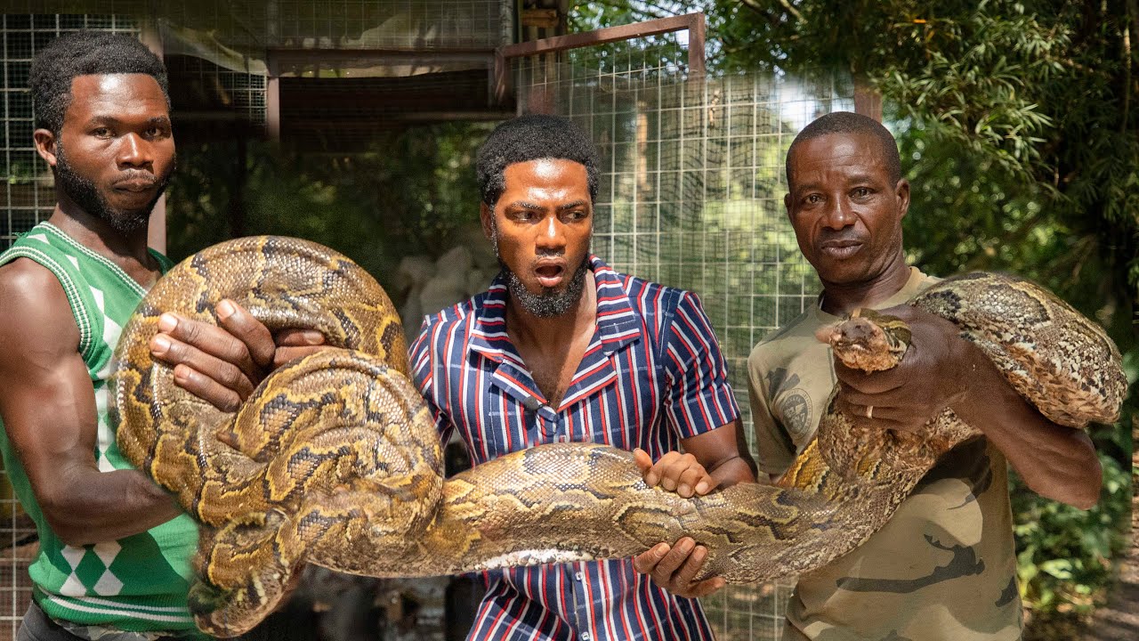 ALMOST EATEN BY THE WORLD MOST VENOMOUS AND BIGGEST SNAKE INSIDE GHANA