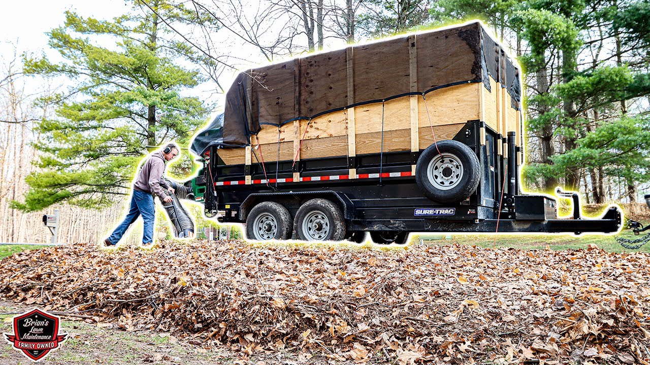 BIGGEST LEAF CLEANUP EVER (How Much Did We Charge)