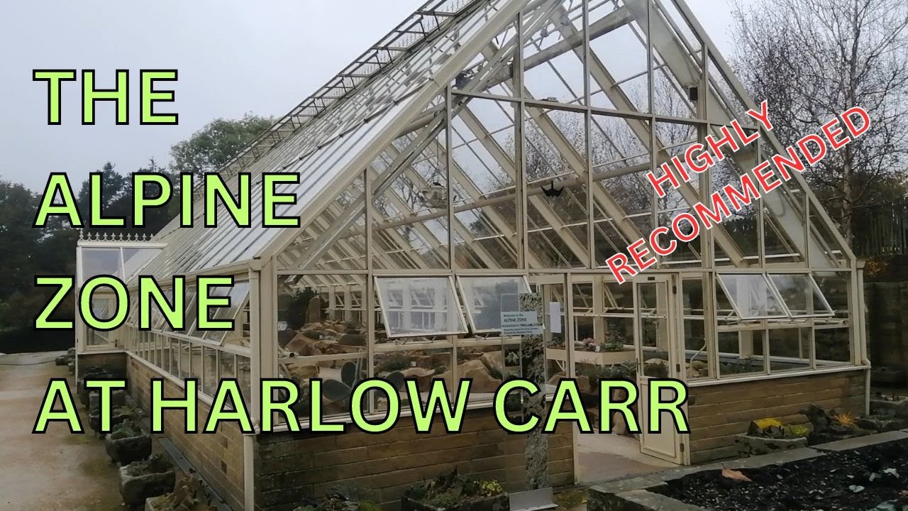The Alpine Collection at RHS Harlow Carr Alpine Plants Cactus Succulents