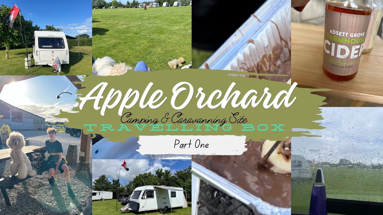 Apple Orchard: Part One