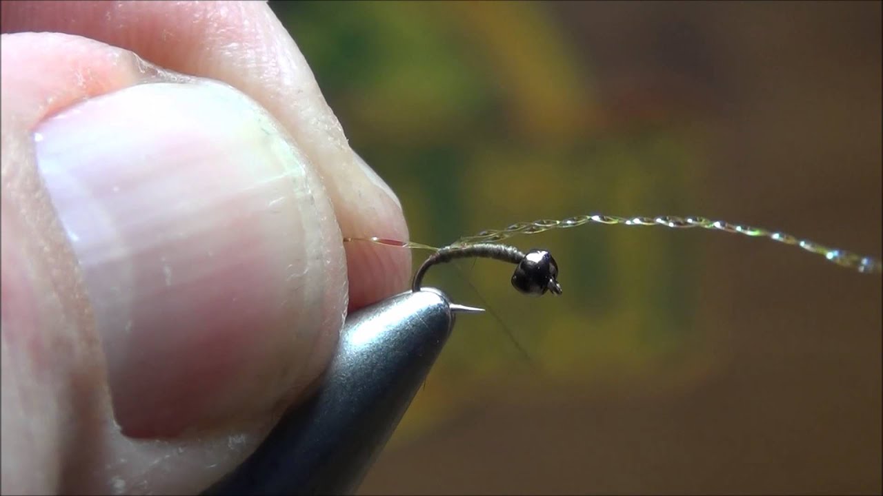 Cheeseman Emerger 1 31 16