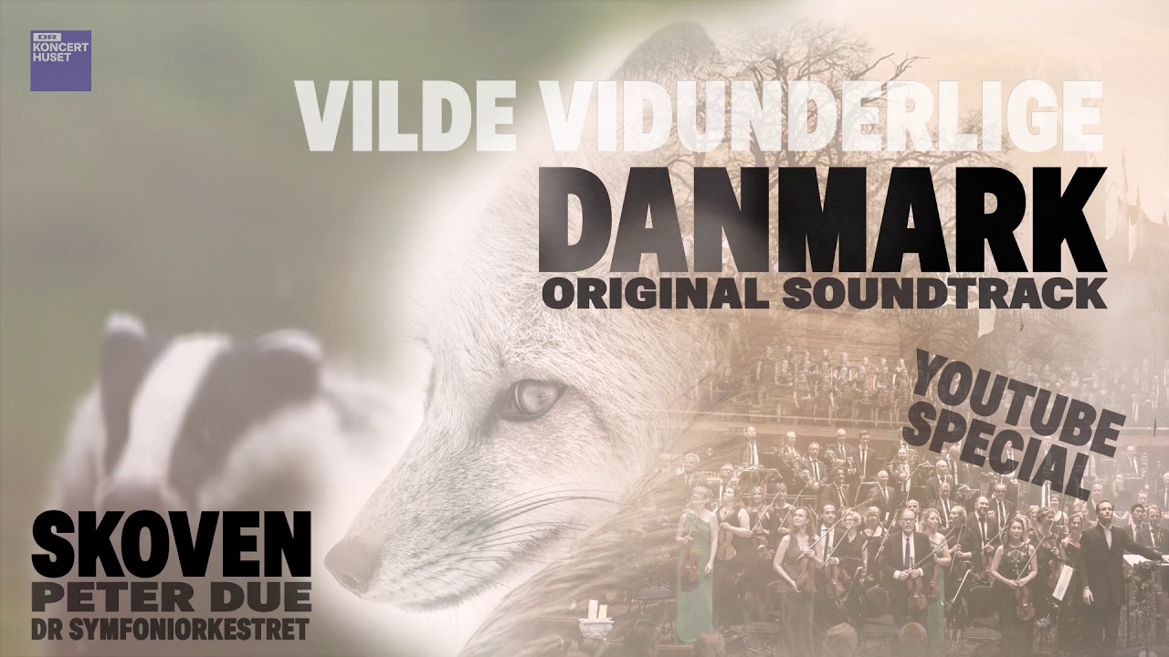 Vilde vidunderlige Danmark - Hverdagsliv i skoven // DR Symfoniorkestret (YouTube Special)