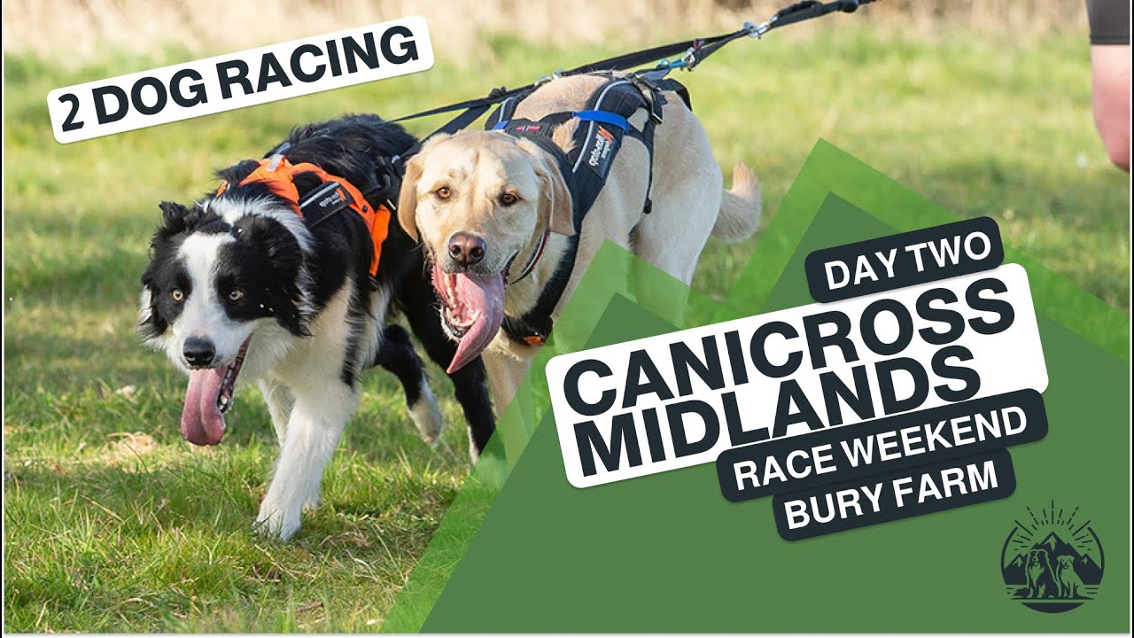 Canicross Midlands - Bury Farm Race Weekend - Day Two