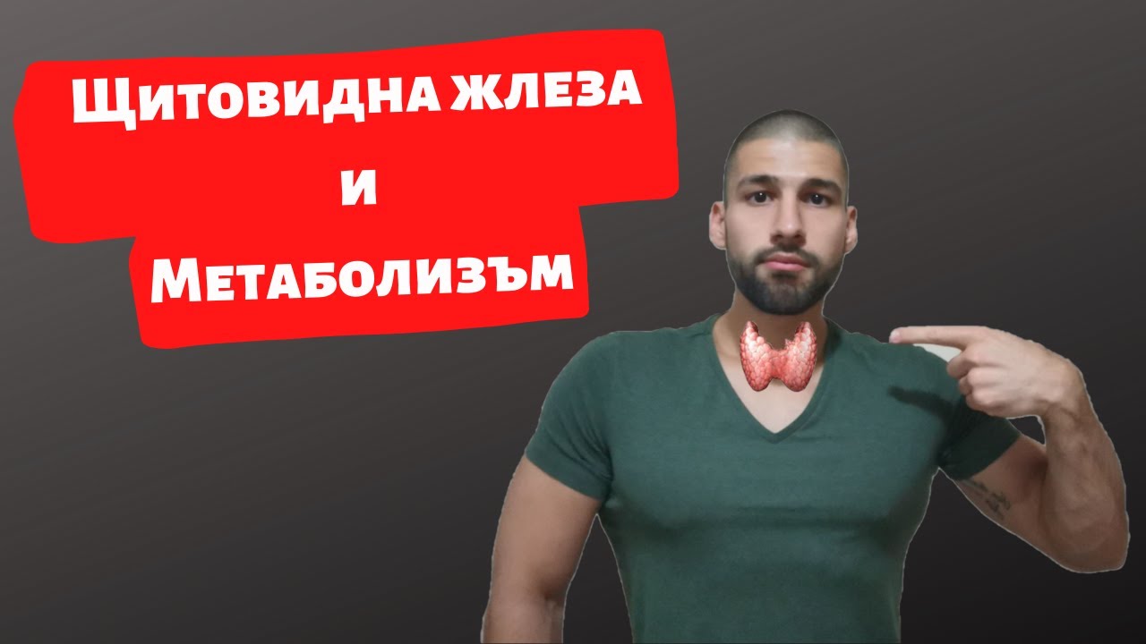 Щитовидна жлеза и значението и за метаболизма.