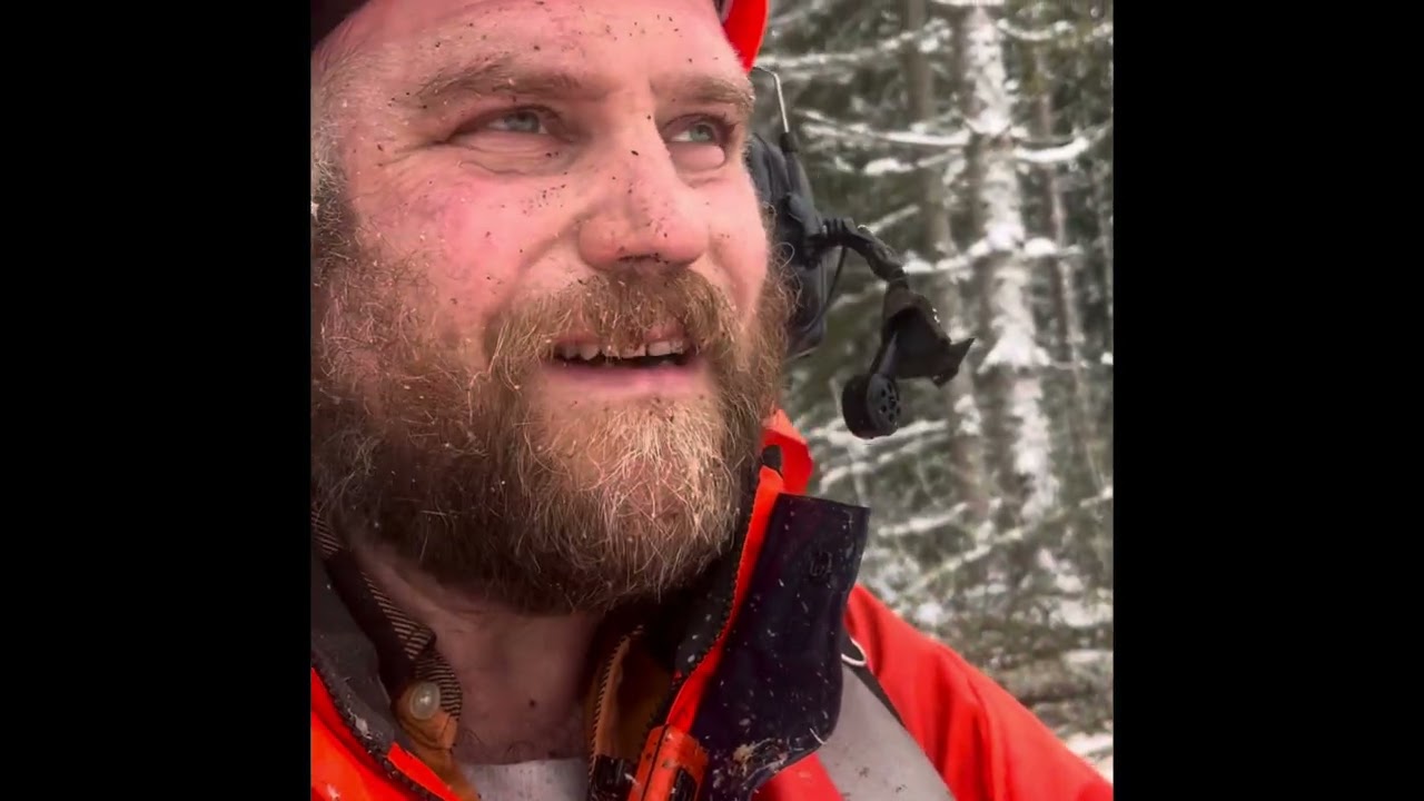 Avverkning för ny kraftledning. Mycket snö