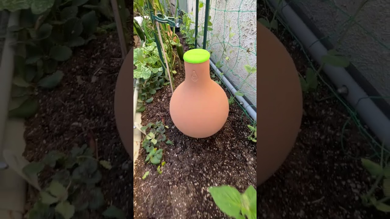 How a LAZY Gardener Waters Plants