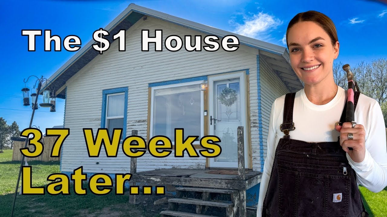 I Renovated This $1 House (Start To Finish)