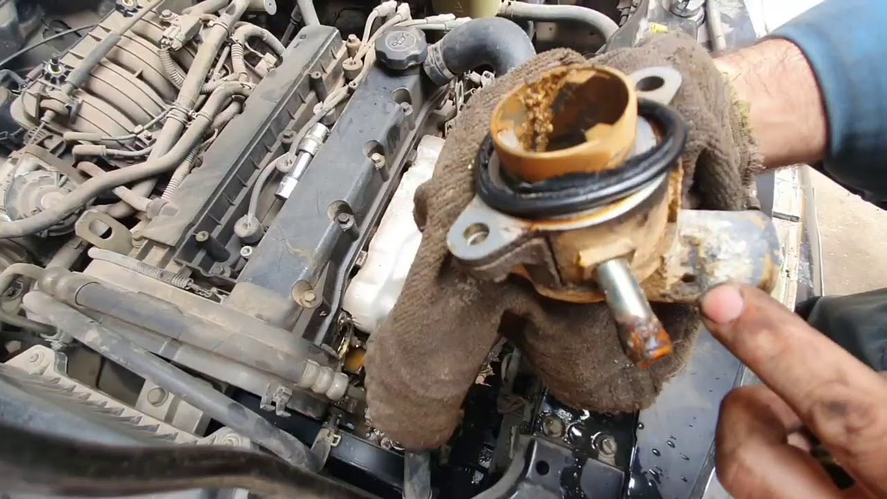 #كوعة