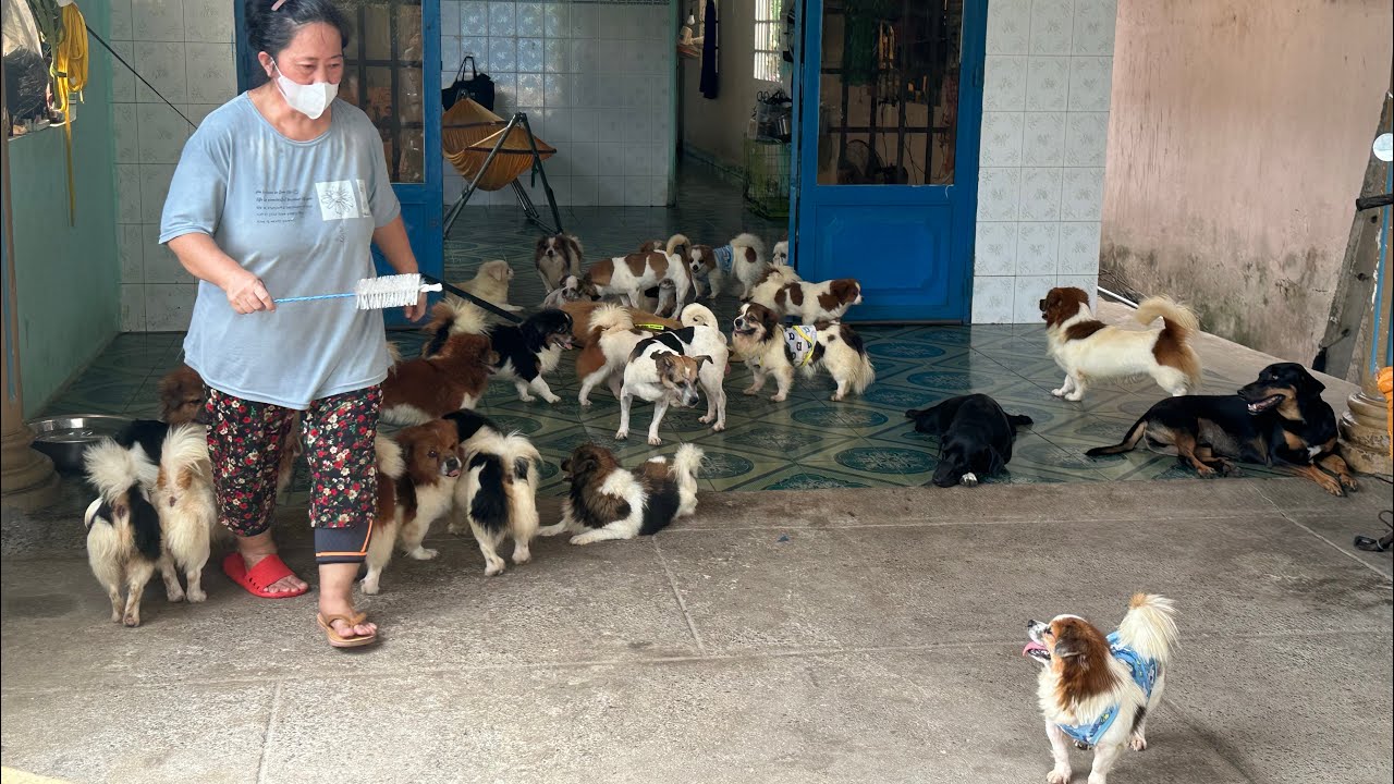 Nam chỉ đến chiasẽ thực tế mái ấm và gửi đến quý MTQ xem xét để giúp tụi nhỏ còn dc hay ko tùy duyên