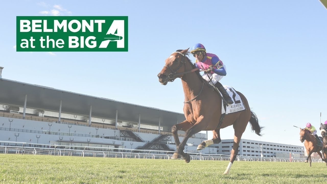 Talking Horses - June 11, 2026