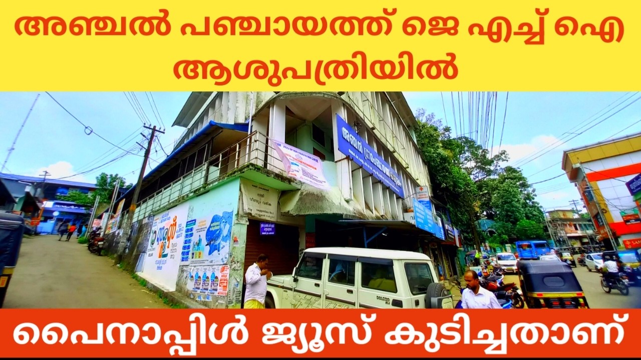 അഞ്ചലിൽ പഞ്ചായത്ത്‌ ജീവനക്കാരിക്ക് ഭക്ഷ്യ വിഷബാധ | Drinking pinappil juse | panchayathu staff issue