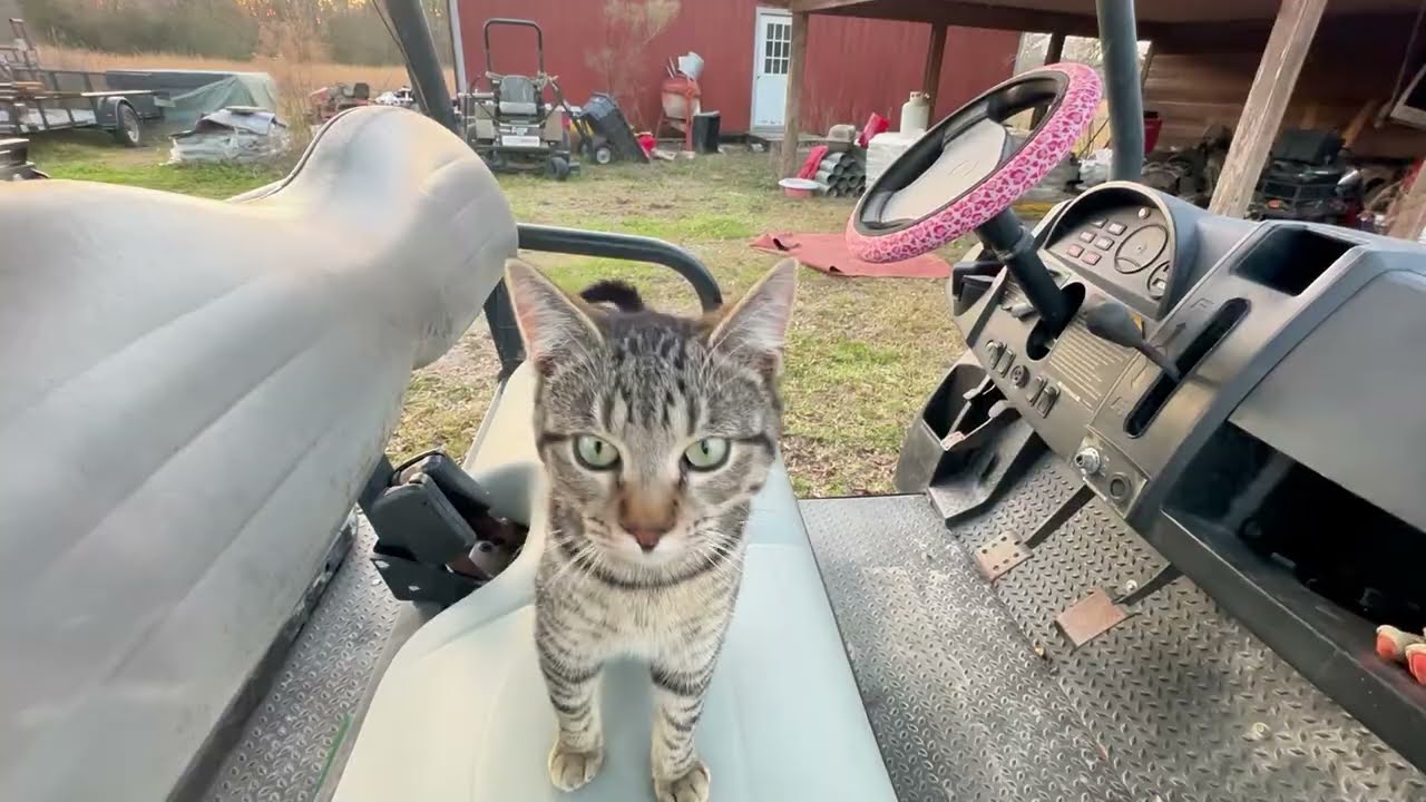 2019 Club car Carryall 1700 update