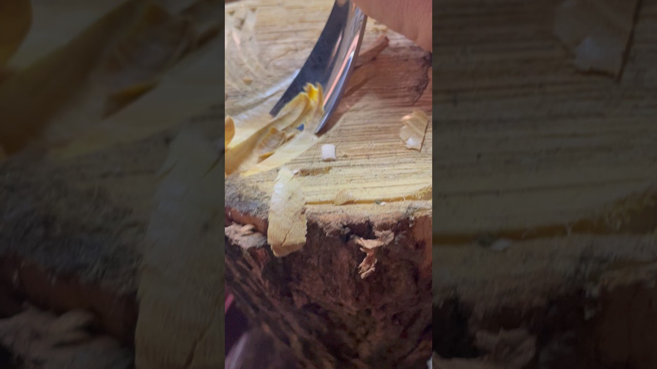 Торец Акации. Стамески Stryi.