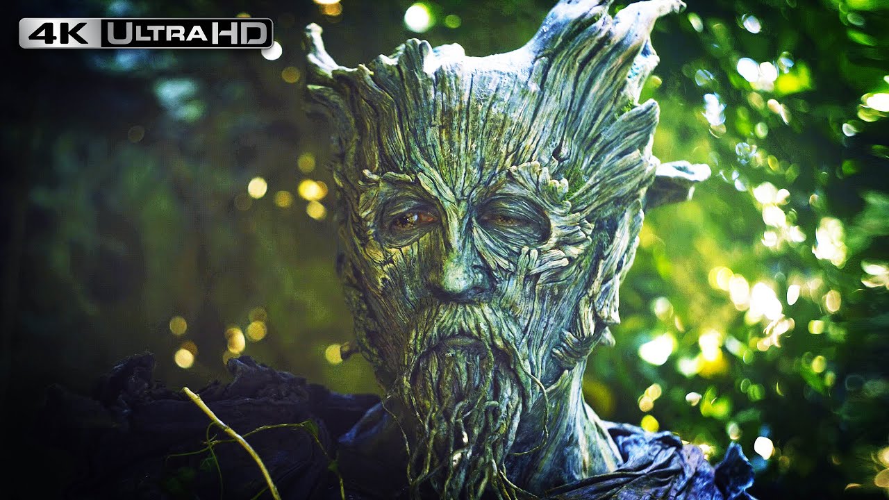 The Green Knight 4K HDR | End Scene