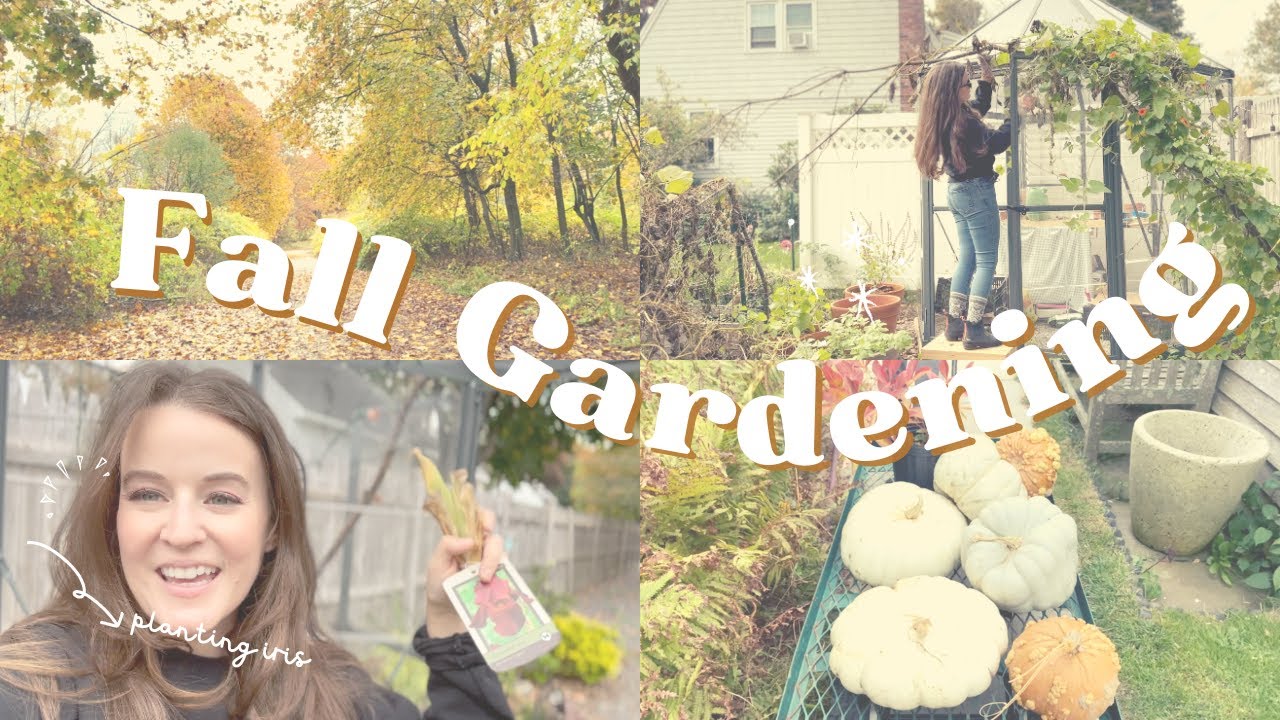 Starting my fall gardening chores 🍂🍁☕