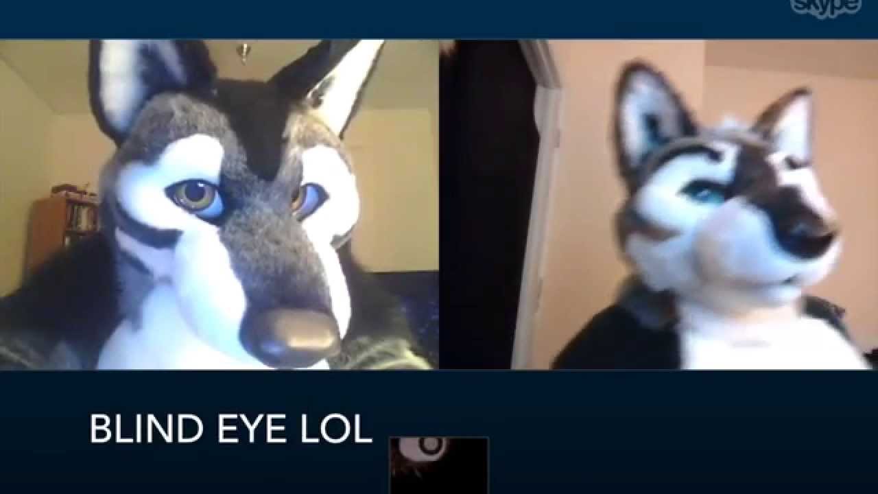 Chipper and Jasper Wolf on Skype!