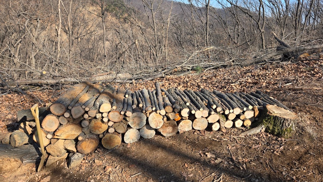 아홉 번째