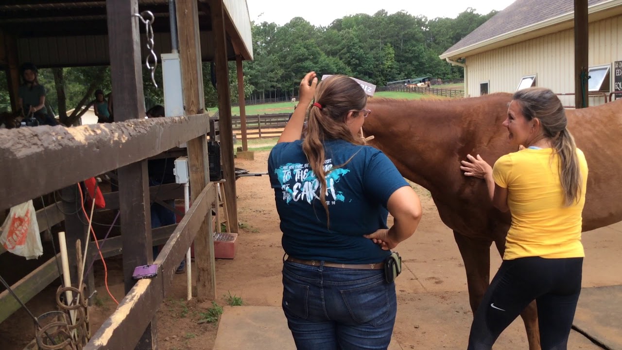 Sunrise massage with Journey doing liberty