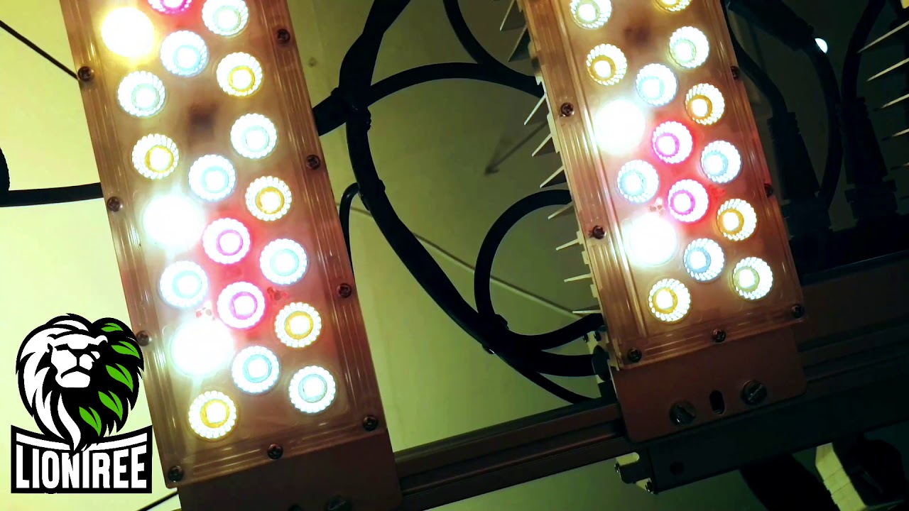 Supernova 240W LED grow light made by Lion Tree.