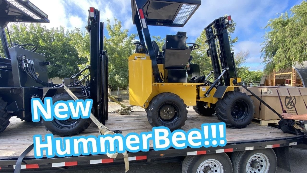 HummerBee First Impressions