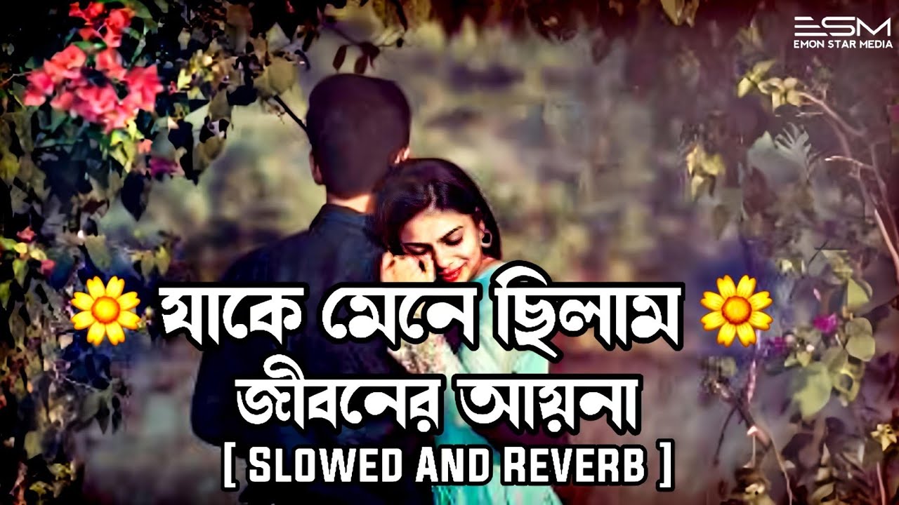 যাকে মেনে ছিলাম জীবনের আয়না | Slowed + Reverb   | Bangla Lofi Song | Tiktok Vairal Song 2025