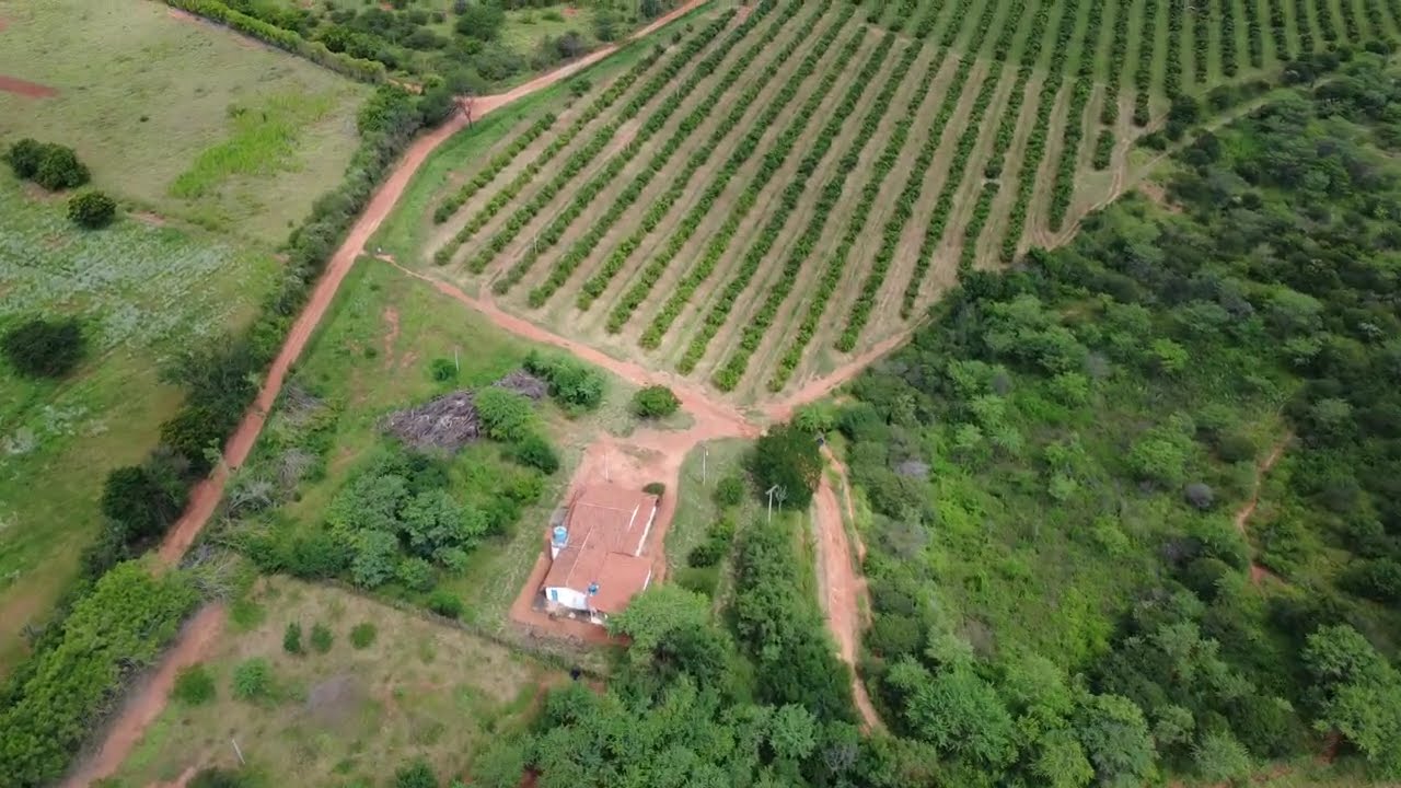 Fazenda Santa Clara - Reserva Maior e Casarao