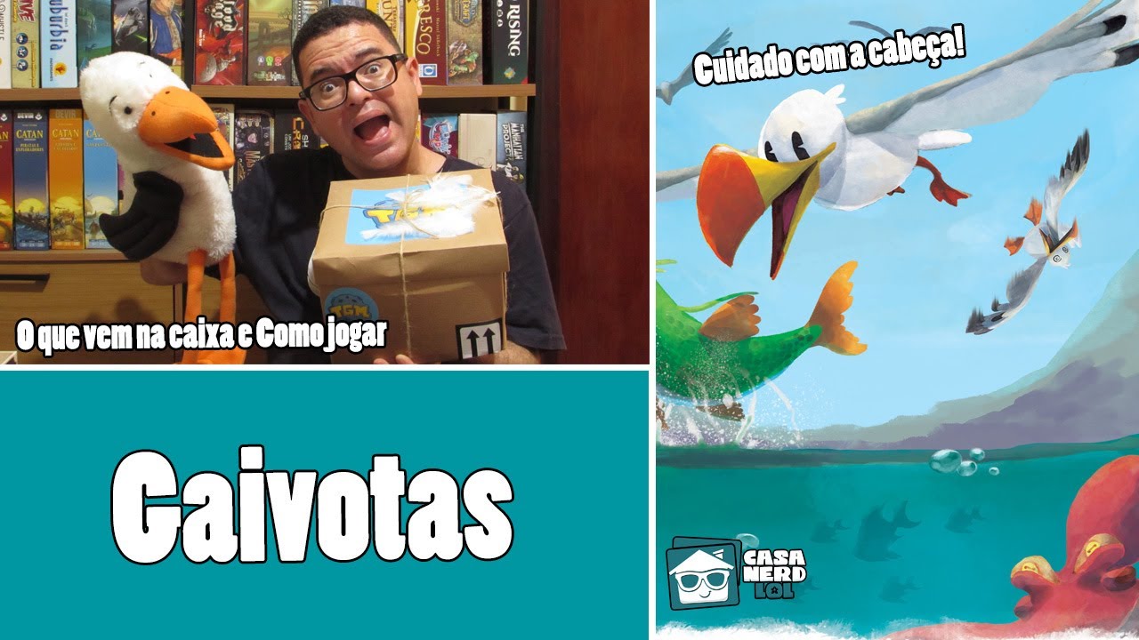 Gaivotas (TGM Editora) - O que vem na caixa e como jogar