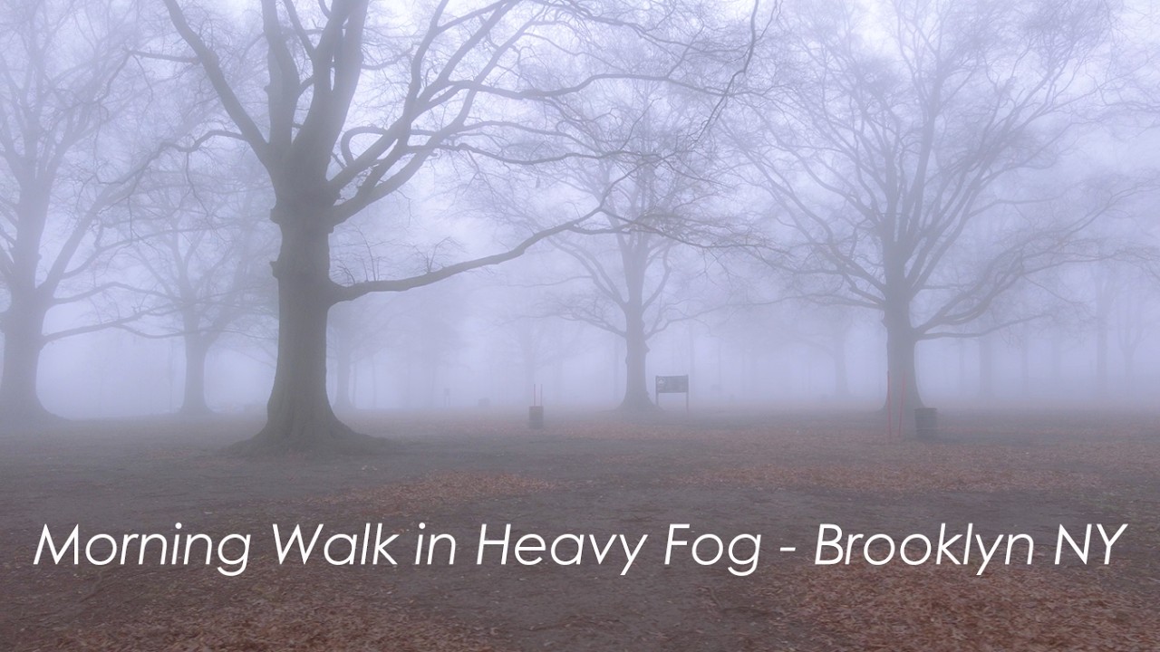 Neighborhood Streets of BROOKLYN NY during Heavy Fog | South Brooklyn NYC Walking Journey in 4K