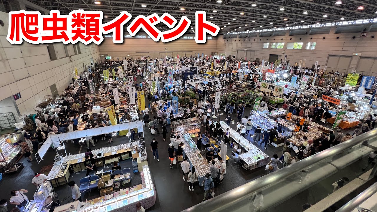 半年に１度行われる日本最大の爬虫類イベントに参加してきました