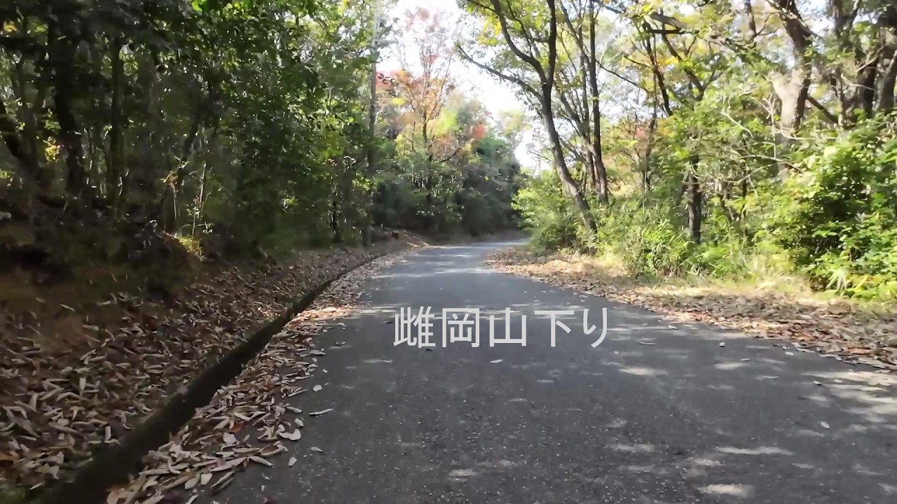 雌岡山_下り