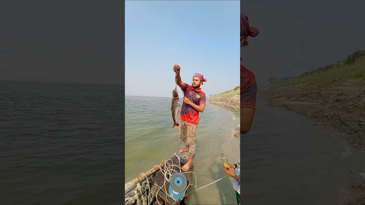 Unbelievable Fishing Mathod Part 97 #shorts #fishing #fishinglife